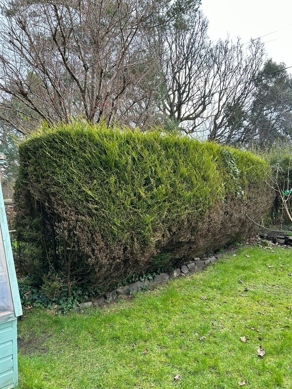 Do you need a hedge removed from your garden? contact JDS Gardening Services for a hedge removal quote in Edinburgh, Midlothian, or East Lothian